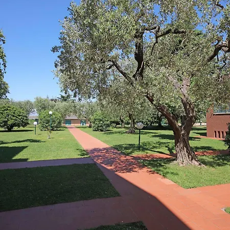 Casetto ברדולינו